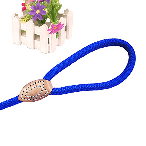 Adjustable Nylon Dog Pet Rope Products Slip Pet Dog Whisperer Cesar