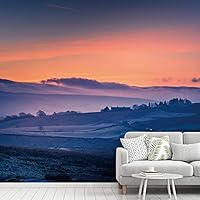 Wall Mural Beautiful Forest Removable Self-Adhesive Wallpaper Wall Decoration for Bedroom Living Room - 66x96 inches