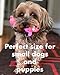 Set 5 Extra Small Squeaky Toys for Dogs Small Breeds Puppy Tiny Dogs Natural Rubber (Latex) Freem from Harmful Chemicals Hanpainted (Toys May Vary)