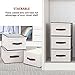 STORAGE MANIAC Polyester Canvas Storage Box, Foldable Storage Bins with Lid Shelf Baskets for Closet(Large)