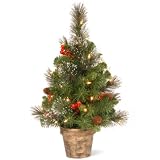 National Tree 2 Foot Crestwood Spruce Tree with Silver Bristle, Cones, Red Berries, 35 Clear Lights in Bronze Pot (CW7-306-20)
