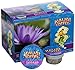 Kauai Coffee Garden Isle Single-Serve Cups, 72 Count