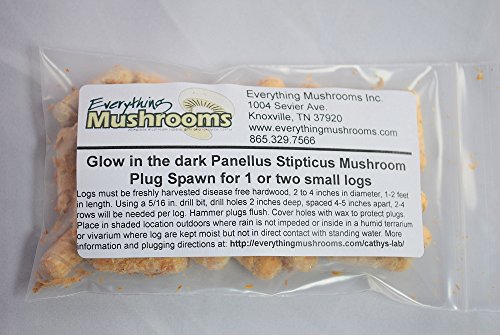 40 Wooden Plugs to grow Glow in the Dark Mushrooms