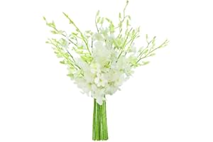 KaBloom PRIME NEXT DAY DELIVERY - Tranquil Sanctuary Bouquet of 20 White Orchid .Gift for Birthday, Sympathy, Anniversary, Get Well, Thank You, Valentine, Mother’s Day Fresh Flowers