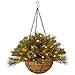 National Tree Company Pre-Lit Artificial Christmas Hanging Basket, Crestwood Spruce, Decorated With Frosted Pine Cones, Berry Clusters, White Lights, Christmas Collection, 16 Inches
