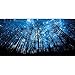 Adarl 5D DIY Full Diamond Painting Rhinestone Pictures of Crystals Embroidery Kits Arts, Crafts & Sewing Cross Stitch The Dark Woods