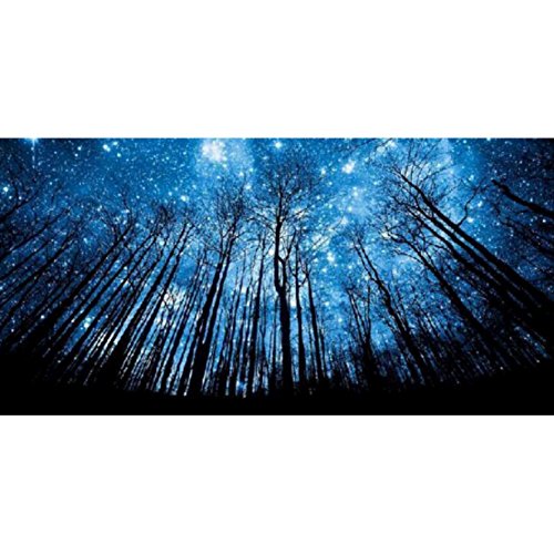 Adarl 5D DIY Diamond Painting Rhinestone Pictures Of Crystals Embroidery Kits Arts, Crafts & Sewing Cross Stitch The Dark Woods