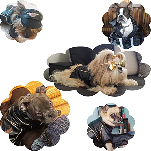 Cuteboom Dog Winter Coat Pu Leather Motorcycle Jacket for Dog Pet