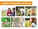 Kid Adventure Kit, 12 Piece Outdoor Exploration Kit, Children’s Toy Binoculars, Flashlight, Compass, Butterfly Net, Magnifying Glass, Whistle, Best Gifts For Birthday, Camping,Hiking, Educational