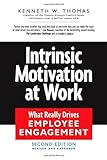 Intrinsic Motivation at Work: What Really Drives Employee Engagement, Kenneth W Thomas, 1576755673