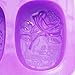 X-Haibei Love Life Rose SOAP Rectangular Lotion Bar Silicone Flower Mold 4 Cavity Soap Making Mold Supplies 3oz per Cell