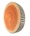We pay your sales tax 3D Tree Wood Slice Memory Foam Cushion Throw Pillow Doll Seat Pad Home Decor Wood Log