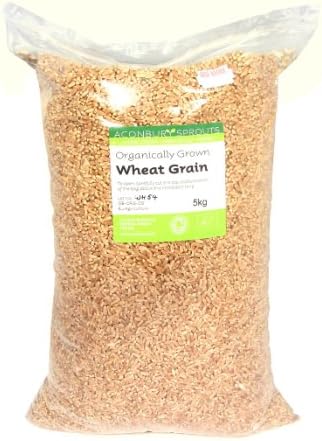 Organic Wheat Grain for Sprouting 5kg