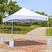ABCCANOPY Tent Weight Bags, Sand Bag for Canopies, Tents, Awnings - 4-Pack of Weight Bags (White)