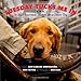 Tuesday Tucks Me In: The Loyal Bond between a Soldier and His Service Dog