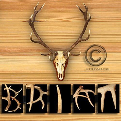 Personalized Gift for Hunters - Framed Letter Art Antler Photos - Clip Frame Alphabet Art - Frame Your Name or Word - Gifts for Him, Gift for Groom