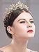 Aukmla Vintage Crown Baroque Gold Tiara Wedding Bridal Hair Accessories Headband for Women and Girls