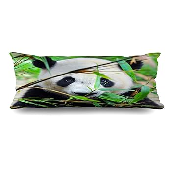 Amazon Com Ahawoso Body Pillows Cover 20x54 Inches Giant Hungry
