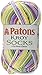Spinrite Yarns Patons Kroy Socks, 1.75 Ounce, Sweet