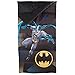 Batman Save the Night Slumberbag