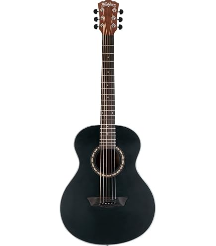 Amazon.com: Washburn Apprentice F5 with Case, Acoustic Guitar