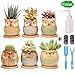 Succulent Pots, Cute Ceramic Owl Planters with Bamboo Saucers & Gardening Tools, 2.5 Inch Small Flower Pot, Set of 6 Pots for Plants - Plants Excluded