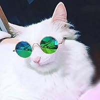 gafas para gatos