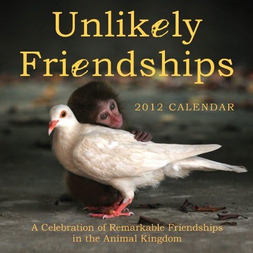 Unlikely Friendships 2012 Wall Calendar by Jennifer Holland (2011-09-19)