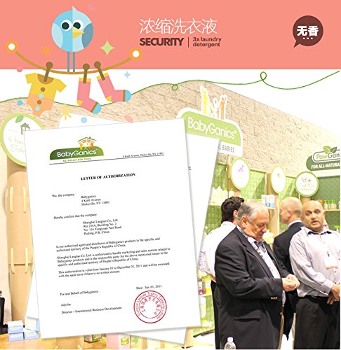 website template image