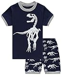 Family Feeling Dinosaur Little Boys Shorts Set Pajamas 100% Cotton Clothes Toddler Kid 4T
