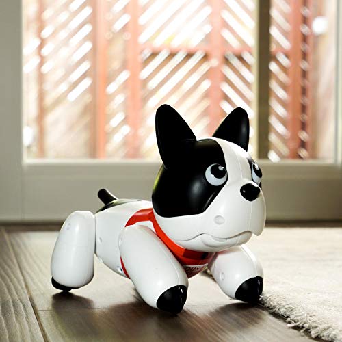 duke the puppy robot