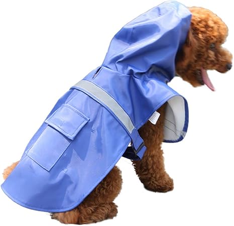 amazon cosas para perros