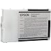Epson T605100 UltraChrome K3 110ml Photo Black Cartridge (T605100)
