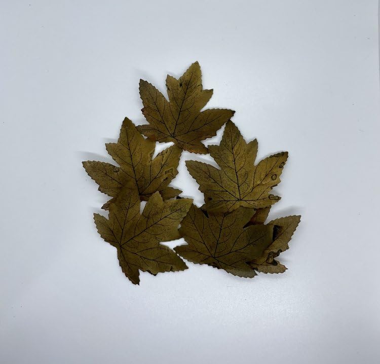 Hidden Airsoft SINGLE MAPLE LEAVES - TAN