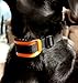 EpicPet Premium Bark Collar - Vibration Correction No Bark Collar with Adjustable Sensitivity for Large, Medium, and Small Breed Dogs with Extra 6V Battery