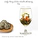 Blooming Tea ELITEA 12cts Flowering Tea Flowers Green Tea Balls 6 Variety Blossom Pack