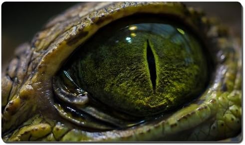 Eyes Macro Reptile Crocodile XL Size Mouse Pad,Gaming Mouse Pad Mat (13.5x23.5 inches)