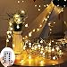ZOUTOG Battery Operated String Lights, 33ft/10m 100 LED Bulb Warm White Globe String Lights with Remote Controller, Decorative Timer Fairy Light for Christmas/Wedding/Party Indoor and Outdoor