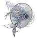 Valdler Halloween Black Costume Feather Net and Veil Fascinator Hair Clip Hat Hair Accessories Clip for Festival Party
