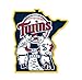 Minnesota Twins MLB Large Sticker (11" x 12") Cornhole Wall Car