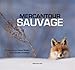 MERCANTOUR SAUVAGE by 