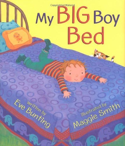My Big Boy Bed