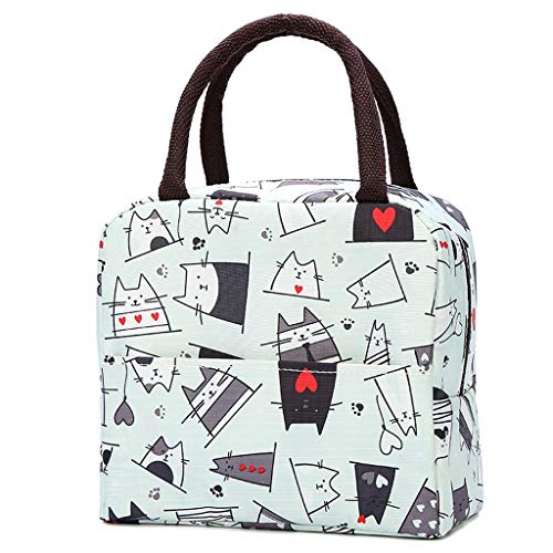 QUNANEN Lunch Bag Simple Style Large Capacity Waterproof Oxford Lunch Bag Outdoor Picnic Bag (H) - //coolthings.us