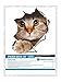 Winston & Bear 3D Cat Stickers 2 Pack - Peeking Cat Sticker for Wall, Fridge, Toilet and More - Retail Packaged Tabby Cat Decals