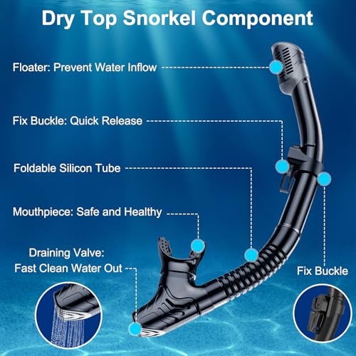Adult Snorkel Set, Anti-Fog Panoramic Snorkel Sets with Dry Top Snorkel & Swimming Goggles for Diving, Swimming & Snorkelling