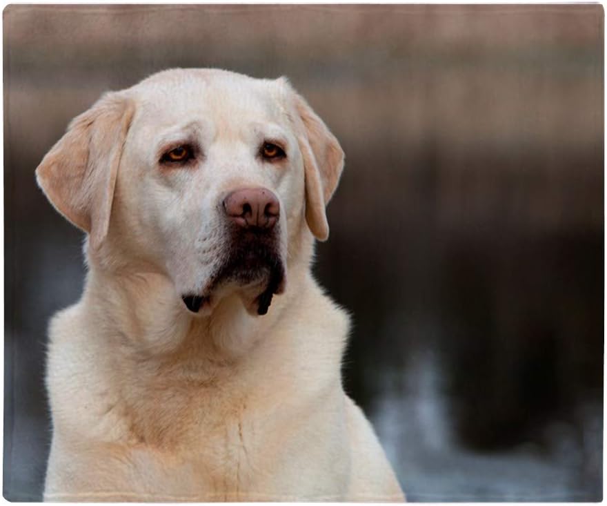 labrador retriever throw blanket