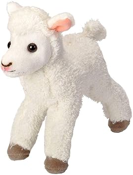 wild republic amazon