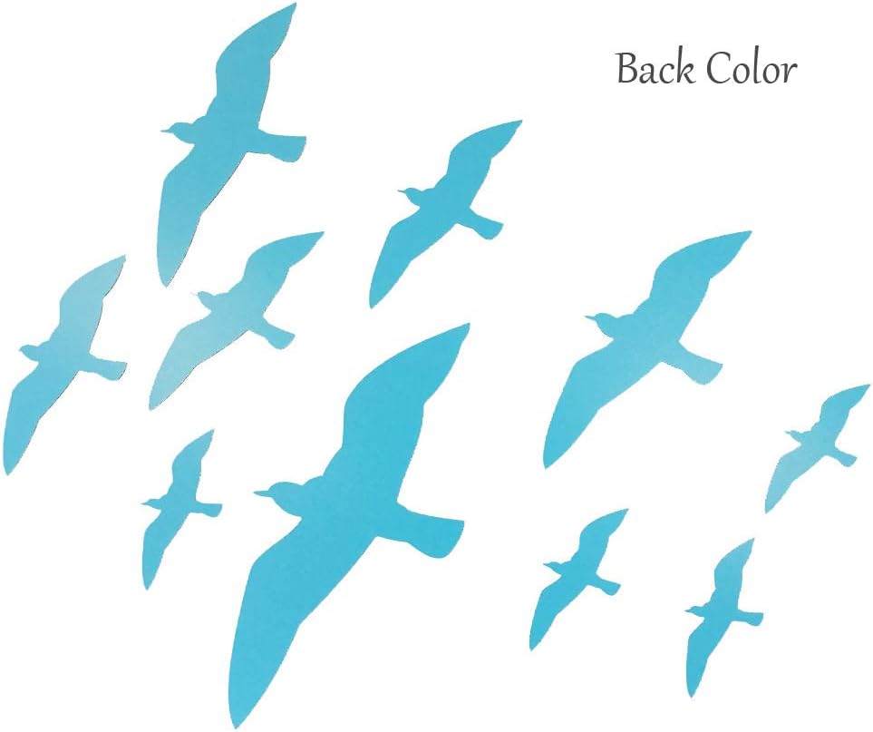 Stop Birds from Hitting Windows Seagull 10 Pieces EACILLES Bird