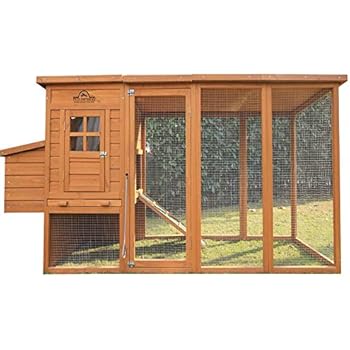 Amazoncom Chickencoopoutlet Large Metal Chicken Run 13x10 Ft Walk