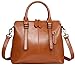 Heshe Women's Handbags Stuctured Shoulder Tote Cross Body Bags Purses for Ladies (Brown-R)